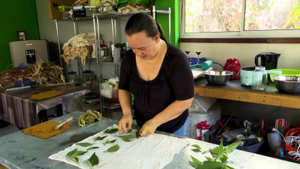 Emprendimiento telas