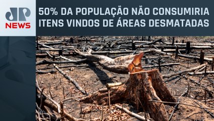 Desmatamento tem impacto direto em cidades brasileiras