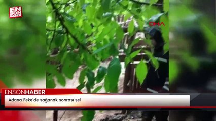 Adana Feke'de sağanak sonrası sel