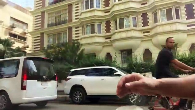 'Yardstick' égaré à trois pattes obtient de l'aide pour gratter