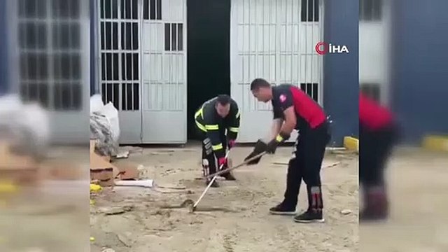 Le serpent entré sur le lieu de travail a été relâché dans la nature par les pompiers