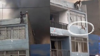 Rescatan a una veintena de perros en un incendio en Perú