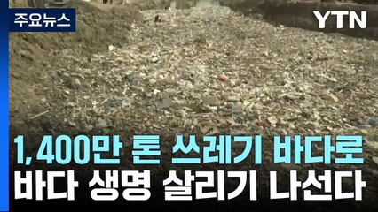 연간 1,400만 톤 쓰레기가 바다로...그래도 살리자 '바키타 돌고래' / YTN