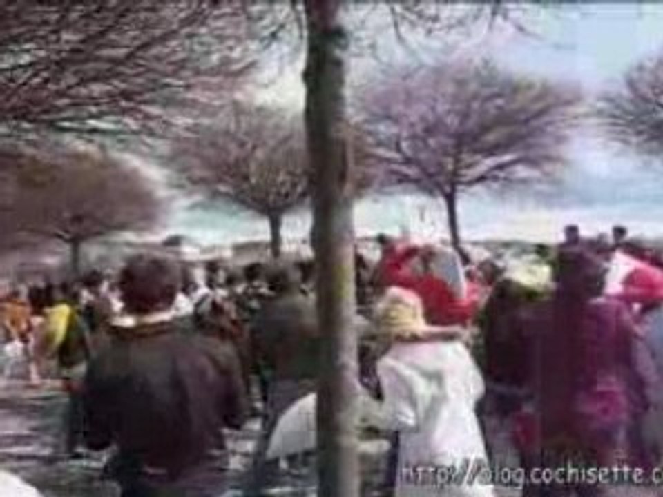 Pillow fighting 2008