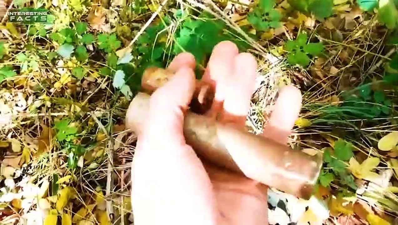 10 Mysteriöse Dinge, die von Youtubern gefunden wurden