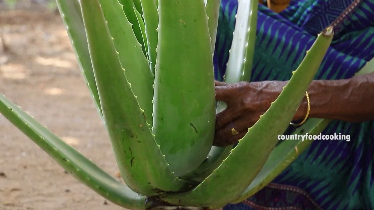 ALOE VERA Gravy