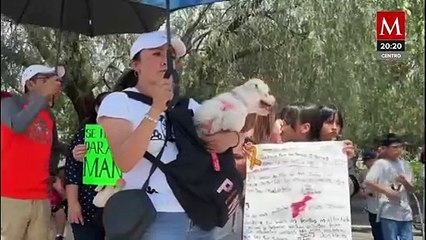Manifestantes exigen justicia por 'Manchas', perrito golpeado en Tecámac, Estado de México
