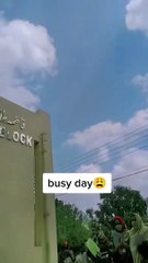 A busy day in the life of a college as a student