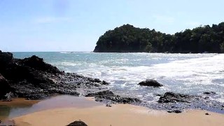 Free Nature Footage | hot tropical beach | No Edit, No Cut, No Loop, No Copyright Video| Background Video | Royalty Free Video | Follow To Get Updates Everyday {0003}