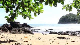 Free Nature Footage | hot tropical beach | No Edit, No Cut, No Loop, No Copyright Video| Background Video | Royalty Free Video | Follow To Get Updates Everyday {0002}