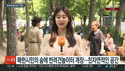 매헌시민의 숲 반려견 놀이터 개장…목줄 없이 뛰어논다