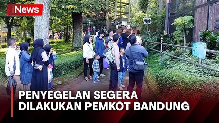 Polemik Kepemilikan Lahan Kebun Binatang Bandung Kian Runcing