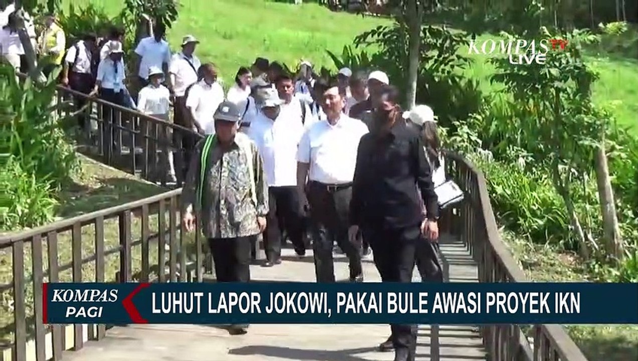 Lapor ke Jokowi Pakai Tenaga Asing Awasi Proyek IKN, Luhut: Terpaksa, Demi Jaga Kualitas