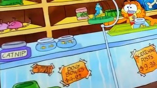 Garfield and Friends Garfield and Friends S01 E006 Identity Crisis / The Bad Sport / Up a Tree