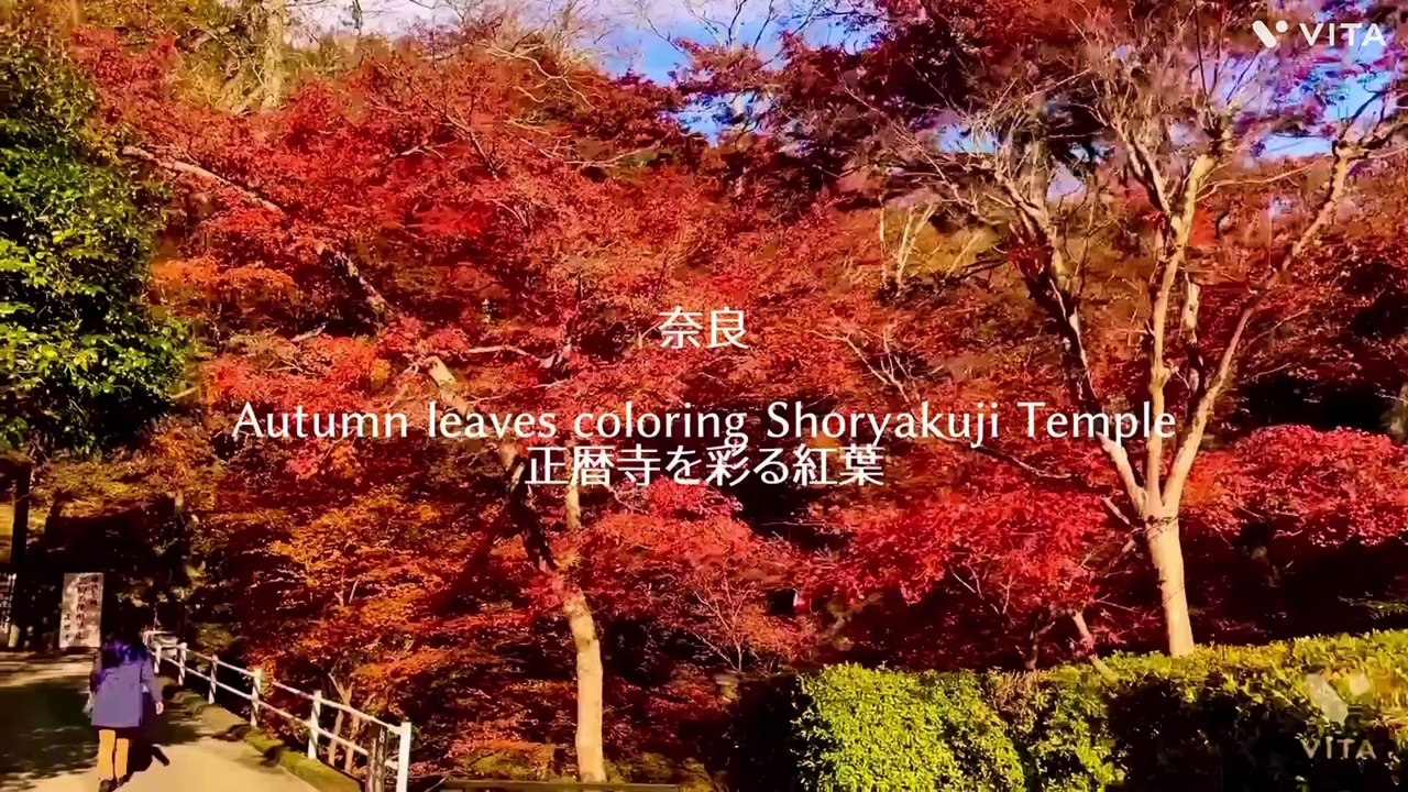 Nara A kishinodera temple 秋篠寺
