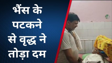 फर्रुखाबाद: भैंस के हमले से घायल किसान की उपचार के दौरान हुई मौत