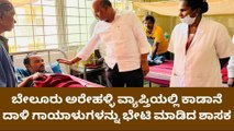 ಬೇಲೂರು: ವ್ಯಕ್ತಿಯ ಮೇಲೆ ಕಾಡಾನೆ ದಾಳಿಯಿಂದ ಗಾಯ: ಶಾಸಕ ಭೇಟಿ