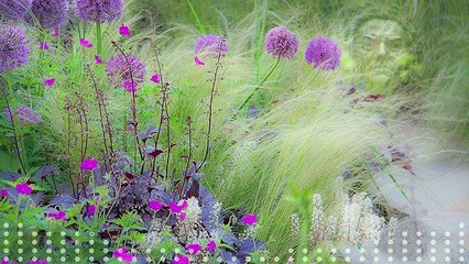 Bach - Trio Sonata No. 1 in E flat major, BWV525-1. Allegro moderato