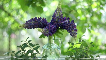 Sonata No.1 in E-flat major, BWV 525-1.Allegro moderato Came out a little funny