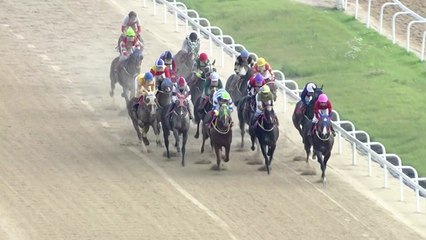 [현장영상+] 제26회 코리안더비 우승 글로벌히트 (김혜선) / YTN