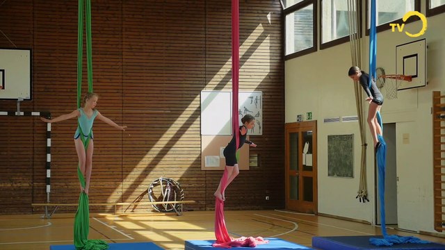 Sujet: 40 ans au service des Acrobats !