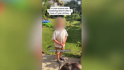 Hilarious moment a toddler told his mum he went 'for a poo' - in his grandmother's flowerbed