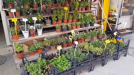 Karabük'te Tarım Ürünleri Satan Dükkan Saldırıya Uğradı