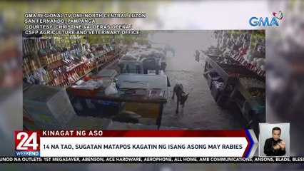 14 na tao, sugatan matapos kagatin ng isang asong may rabies | 24 Oras Weekend