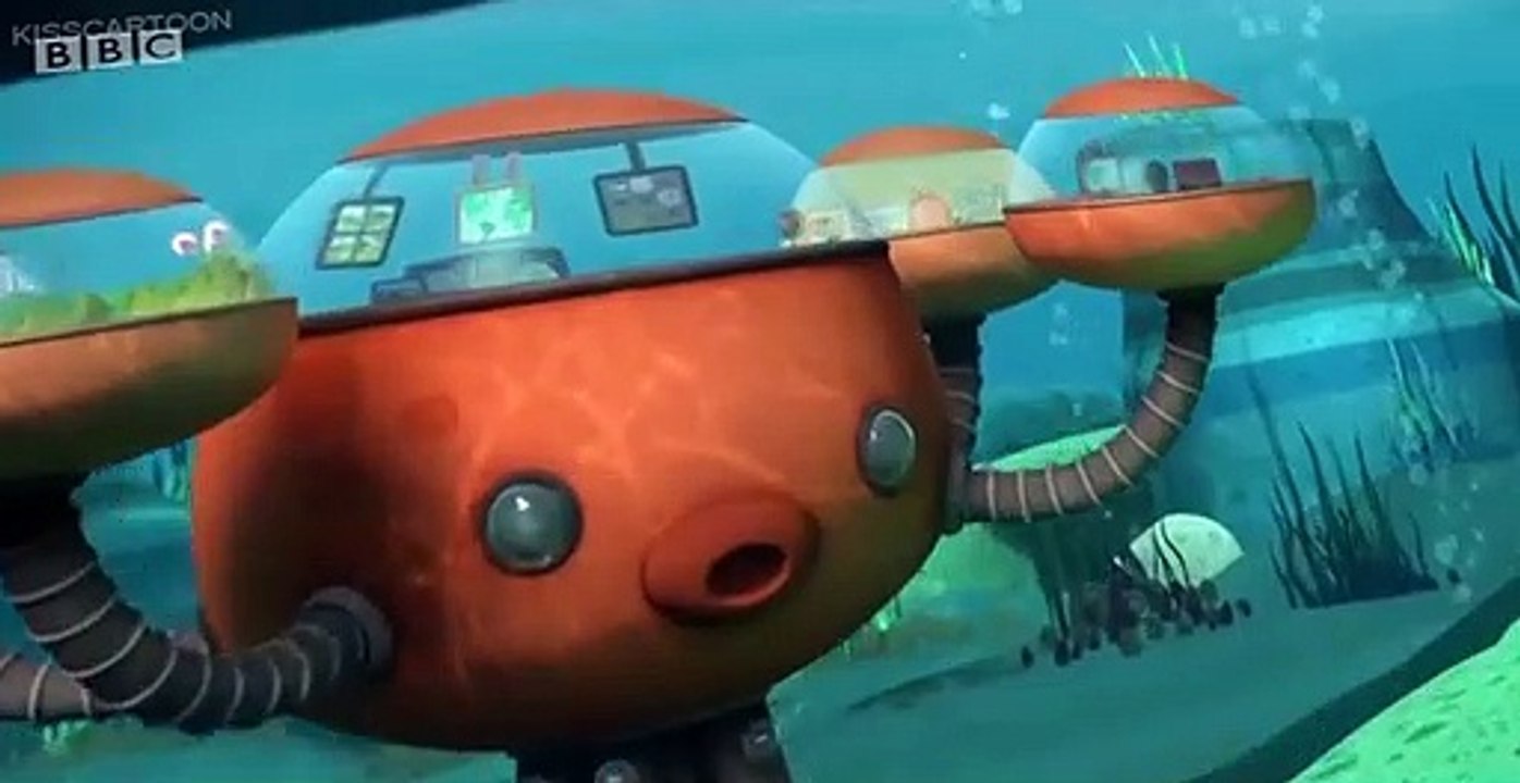 The Octonauts The Octonauts S04 E005 – The Walrus Pups