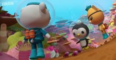 The Octonauts The Octonauts S04 E006 – The Mantis Shrimp