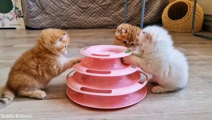 In a fluffy kindergarten it's time to play  Teddy, Pikachu and Picasso