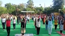 एक मंच पर आए जयपुर के योग प्रशिक्षण केंद्र, जयपुराइट्स को योग से जोडऩे का प्रयास