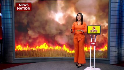 कनाडा के जंगलों में लगी आग बनी यूरोप के लिए मुसीबत, कई शहरों में फैला धुंआ