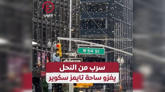 سرب من النحل يغزو ساحة تايمز سكوير