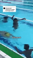 Reponse à . : nager les 4N