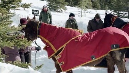 Les Chevaux de l'espoir Bande-annonce (DE)