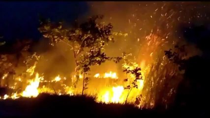 सिवान: झाड़ियों में अचानक लगी भीषण आग, कड़ी मशक्कत बाद ग्रामीणों ने पाया काबू