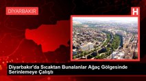 Diyarbakır'da Sıcaktan Bunalanlar Ağaç Gölgesinde Serinlemeye Çalıştı