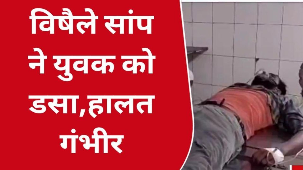 भोजपुर: विषैले सांप के डसने से युवक की हालत बिगड़ी, गंभीर अवस्था में पटना रेफर