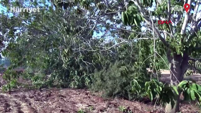 Öncüpınar Sınır Kapısı bölgesindeki boş araziye beş roket düştü