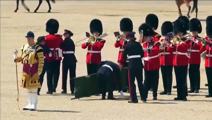 Desmaiado devido ao calor, guarda real britânico tenta continuar a tocar