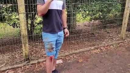 Motociclista fica ferido após derrapar em pista coberta por óleo