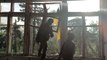 Ukrainian soldiers claim success in recapture of Donetsk village