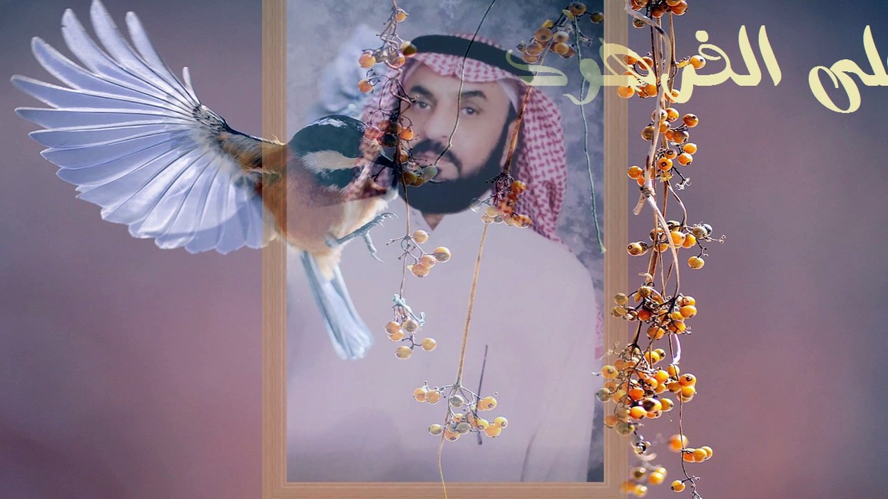 قران الكريم من اجمل الاصوات قناة علي الفرهود