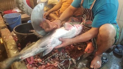 Amazing Ayer Fish Cutting in Bangladesh - Fish Cutting Video