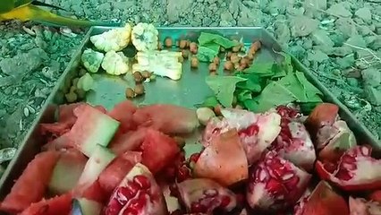 गुलाब बाग बर्ड पार्क : परिंदे जगहां जगहां के, इनकी देखभाल भी खास