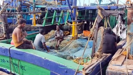 मछली पकडऩे के लिए नाव तैयार करते मछुआरे... देखें वीडियो