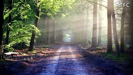 Really Inspiring & Best Motivational Video Story Ever in English by TFC _ BELIEVE IN YOURSELF