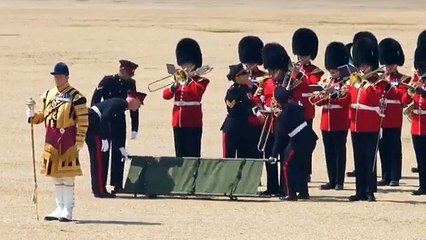 Vídeo: guardas desmaiam de calor em evento com príncipe William