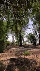 كل  نفس ذائقة الموت